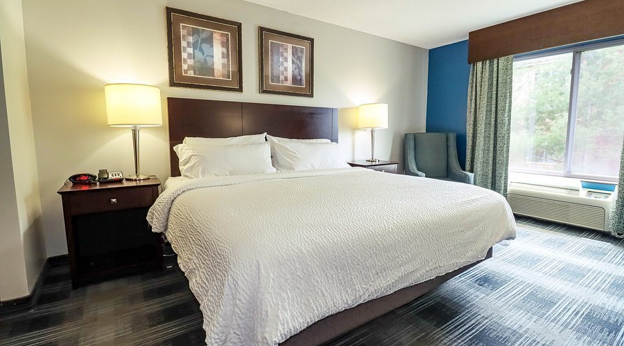 Holiday Inn Express Suites Meridian I 20 — Guest room