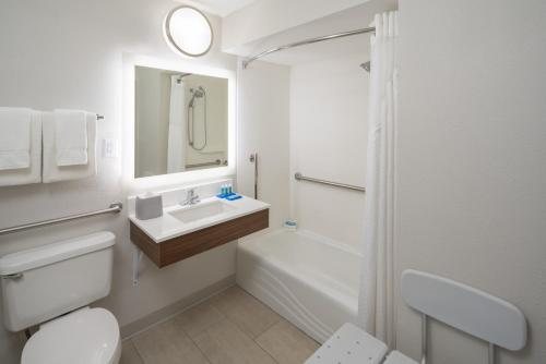 Holiday Inn Express Suites Orlando at SeaWorld by IHG Orlando Florida — Bathroom
