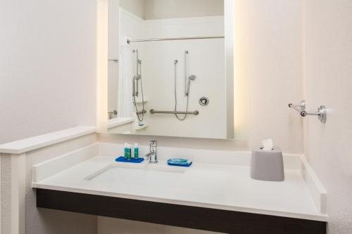 Holiday Inn Express Suites Rapid City I 90 by IHG — Bathroom