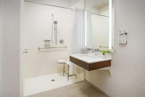Holiday Inn Express Suites Rochester Hills Detroit Area By IHG — Bathroom