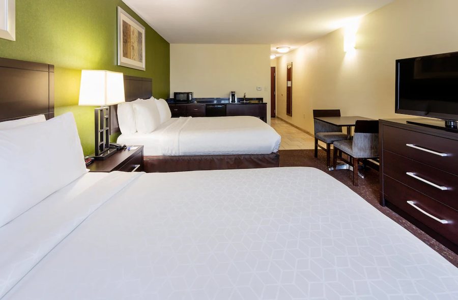 Holiday Inn Express Suites Rochester Mayo Clinic Area by IHG — Guest room