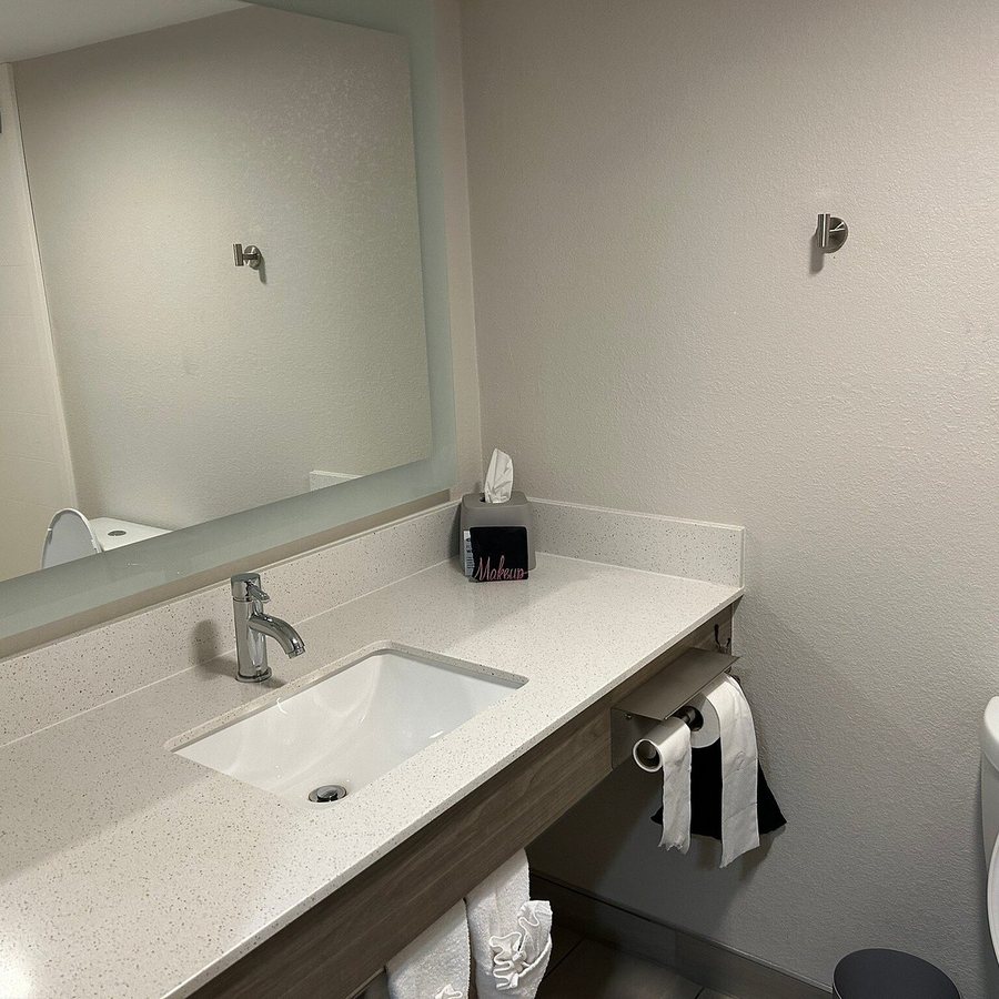 Holiday Inn Express Suites Rocky Mount smith Mtn Lake By IHG — Bathroom