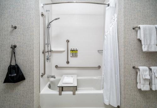 Holiday Inn Express Suites Sioux Falls brandon By IHG — Bathroom