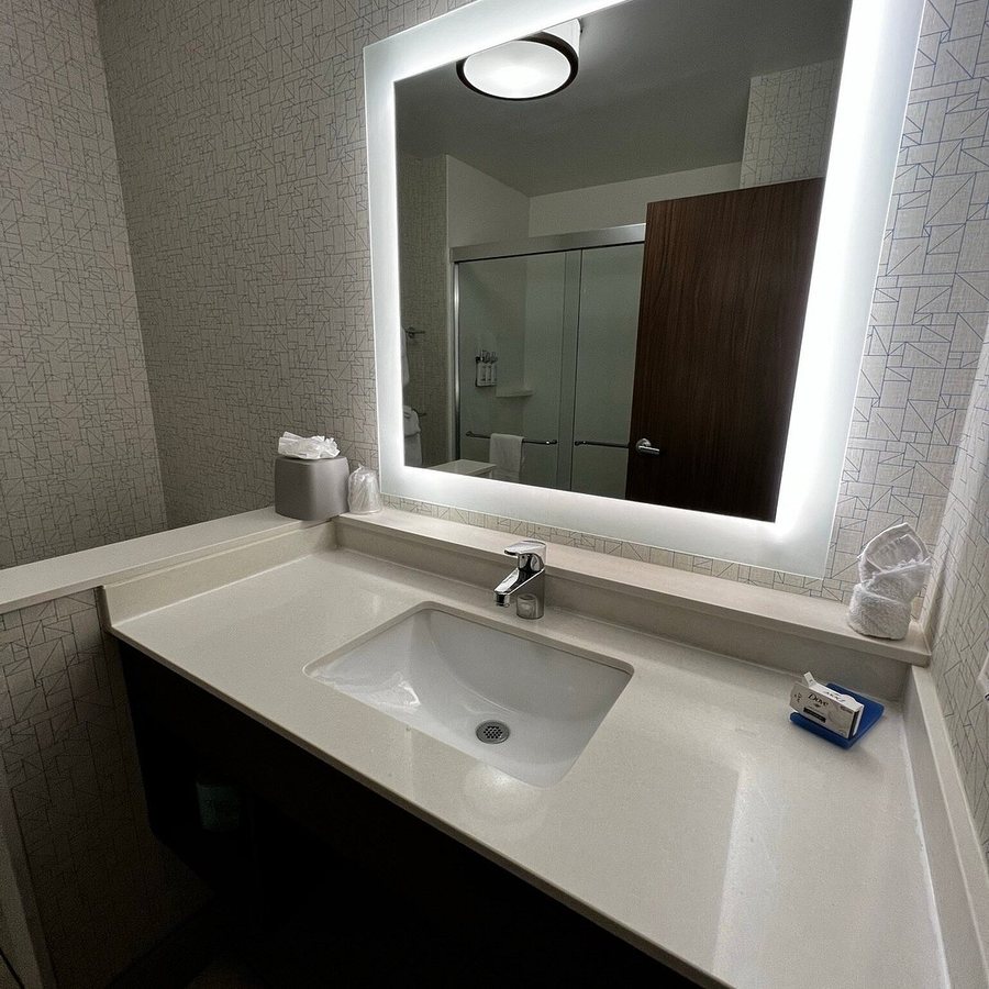 Holiday Inn Express Suites St Petersburg North I 275 by IHG — Bathroom