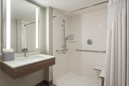 Holiday Inn Express Suites Tampa Fairgrounds Casino by IHG — Bathroom