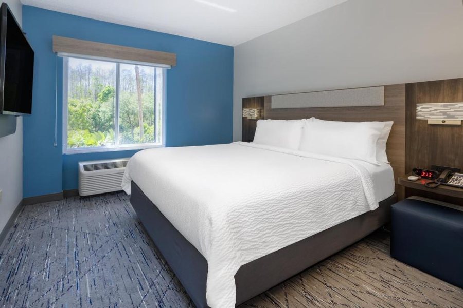 Holiday Inn Express Suites Tampa I 75 Bruce B Downs — Guest room