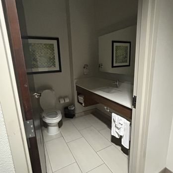 Holiday Inn Express Suites Tampa usf busch Gardens By IHG — Bathroom