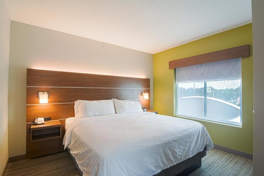 Holiday Inn Express Suites Tampa usf busch Gardens By IHG — Guest room