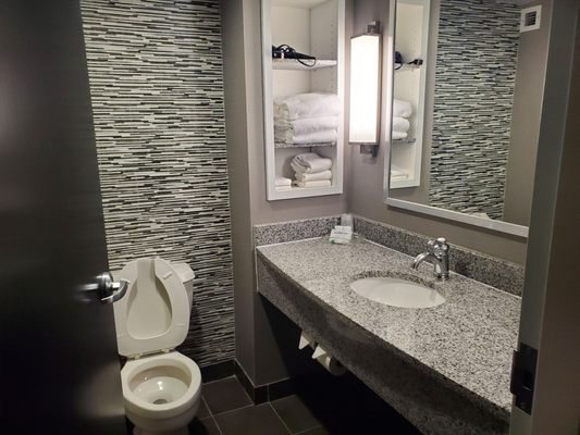 Holiday Inn Express Suites Williamsburg By IHG — Bathroom