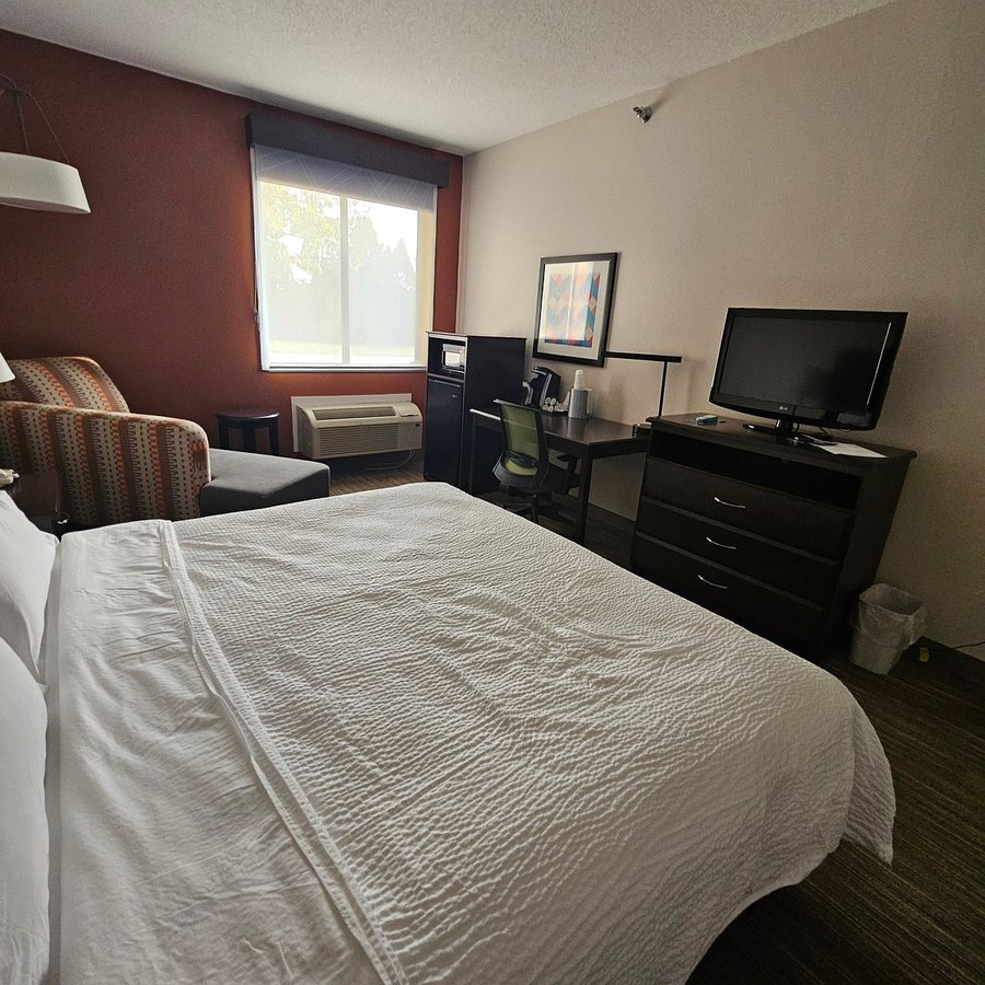 Holiday Inn Express Suites Winner by IHG — Guest room