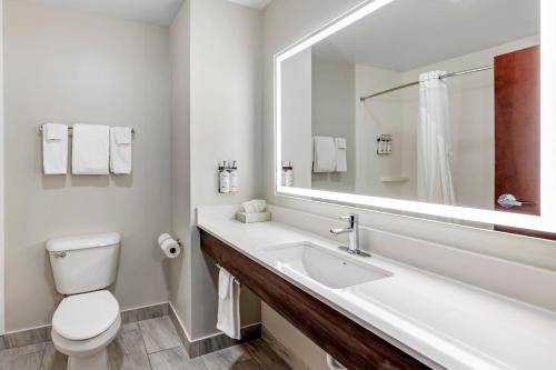 Holiday Inn Express White Marsh By IHG — Bathroom