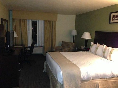 Holiday Inn Fort Myers Downtown Area By IHG Fort Myers Florida — Guest room
