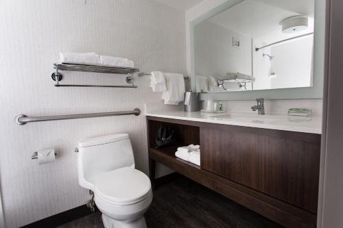 Holiday Inn Grand Rapids Downtown by IHG Grand Rapids Kent County Michigan — Bathroom