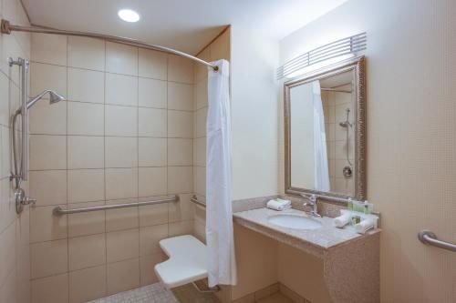 Holiday Inn Greensboro Coliseum By IHG — Bathroom