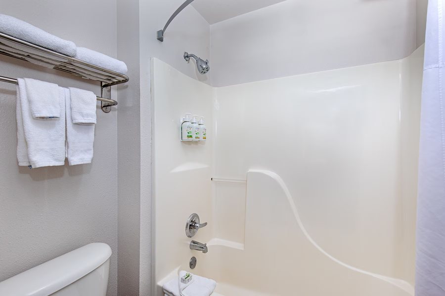 Holiday Inn Hattiesburg North By IHG — Bathroom