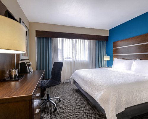 Holiday Inn Houston Downtown By IHG — Guest room