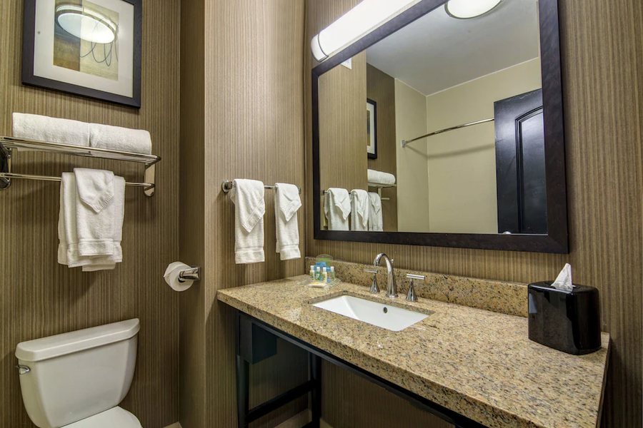 Holiday Inn Huntsville Research Park by IHG — Bathroom