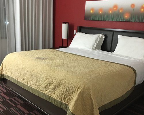 Holiday Inn Irving Las Colinas By IHG — Guest room