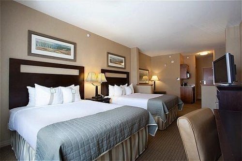 Holiday Inn Laramie by IHG — Guest room