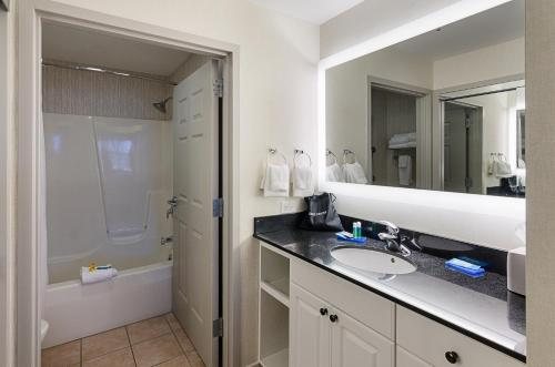 Holiday Inn Lexington Hamburg By IHG — Bathroom