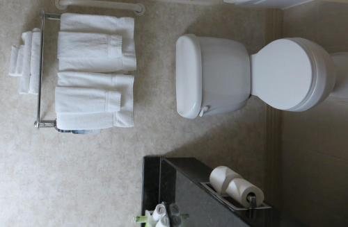 Holiday Inn Lincoln Southwest by IHG Lincoln Nebraska — Bathroom