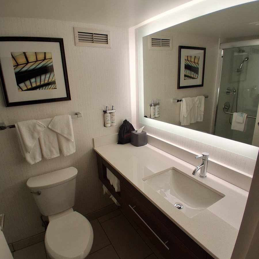 Holiday Inn Little Rock Presidential Dwntn by IHG — Bathroom