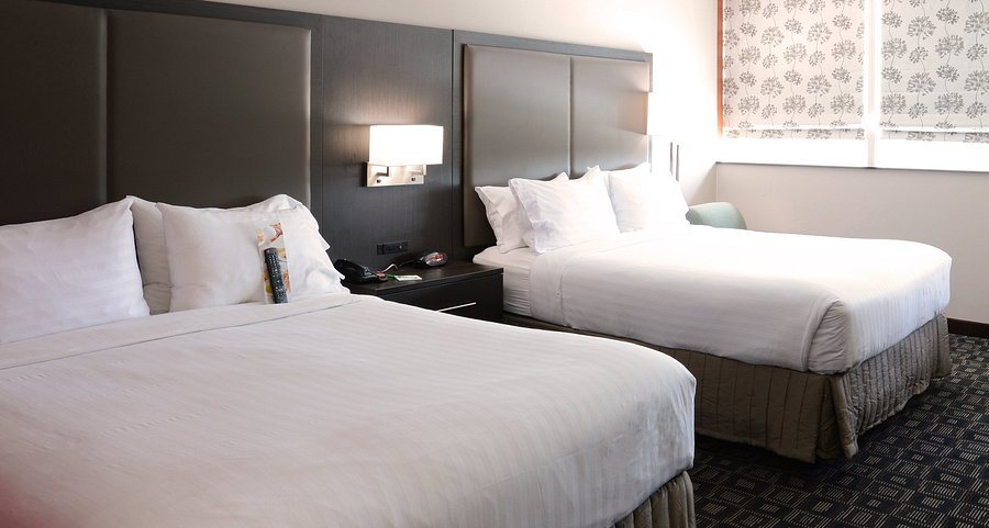 Holiday Inn Louisville Airport South By IHG Louisville Kentucky — Guest room