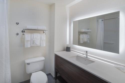 Holiday Inn Memphis univ Of Memphis By IHG — Bathroom