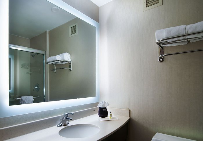 Holiday Inn Mobile Dwtn Hist District by IHG — Bathroom