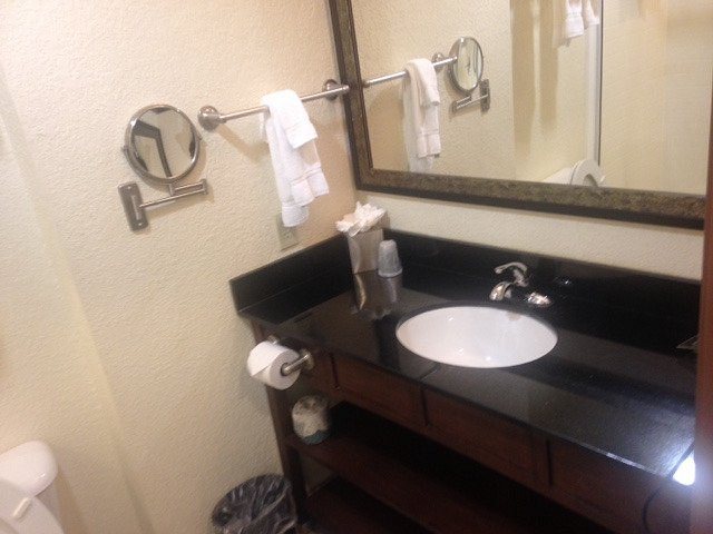 Holiday Inn Montgomery Airport South By IHG — Bathroom