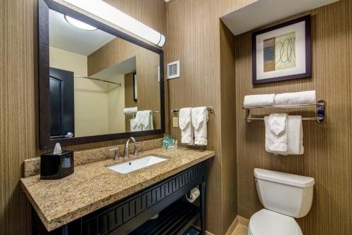 Holiday Inn National Airport Crystal City by IHG — Bathroom