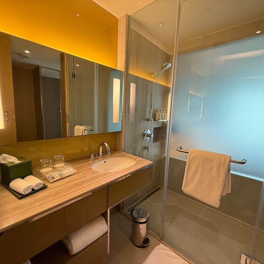 Holiday Inn New Delhi Aerocity By IHG New Delhi National Capital Territory of D — Bathroom