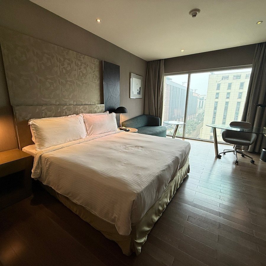 Holiday Inn New Delhi Aerocity By IHG New Delhi National Capital Territory of D — Guest room