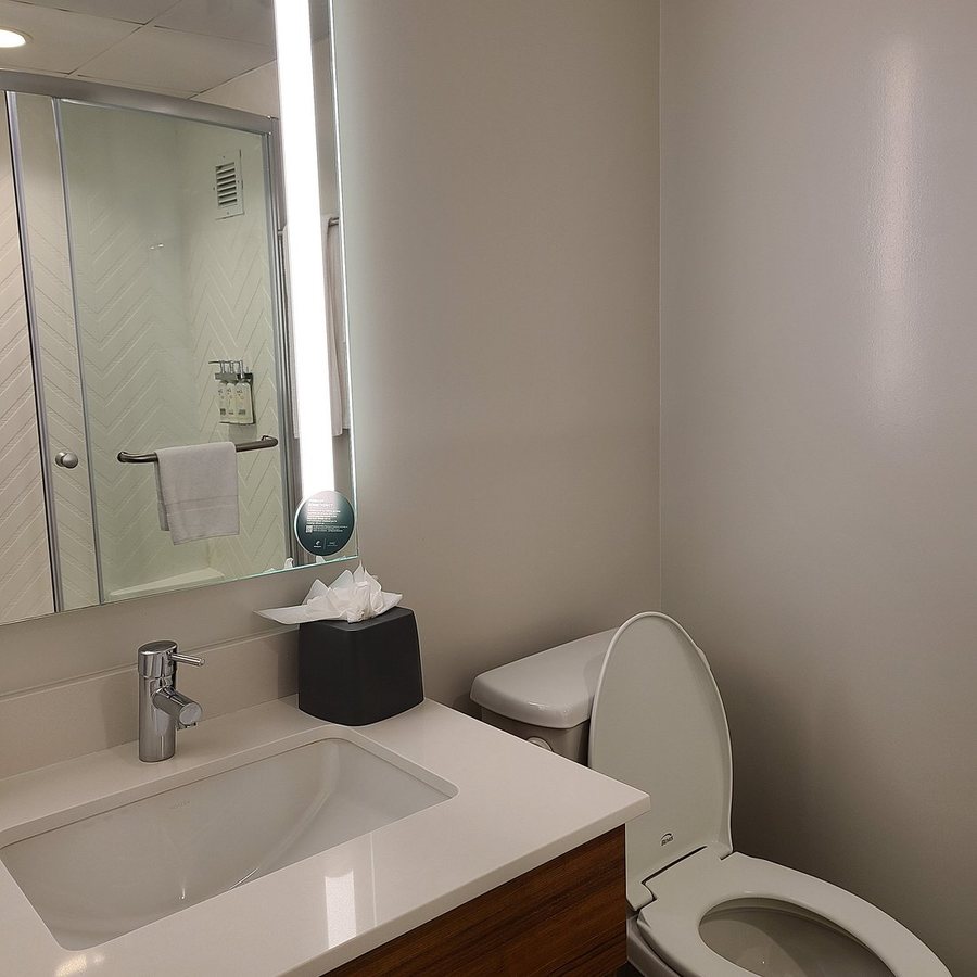Holiday Inn New Orleans downtown Superdome By IHG — Bathroom