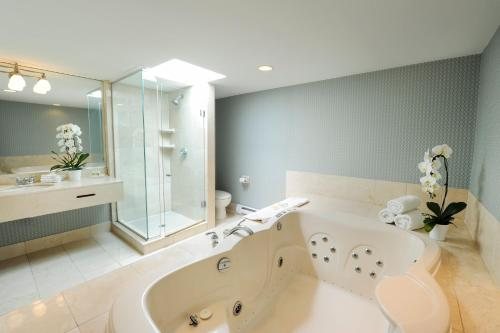 Holiday Inn Niagara Falls State Park Entry By IHG — Bathroom