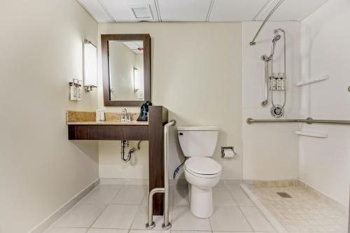 Holiday Inn Ponce Tropical Casino by IHG — Bathroom