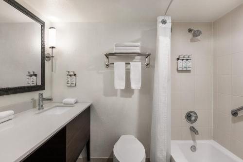 Holiday Inn Port Of Miami downtown By IHG Miami Florida — Bathroom