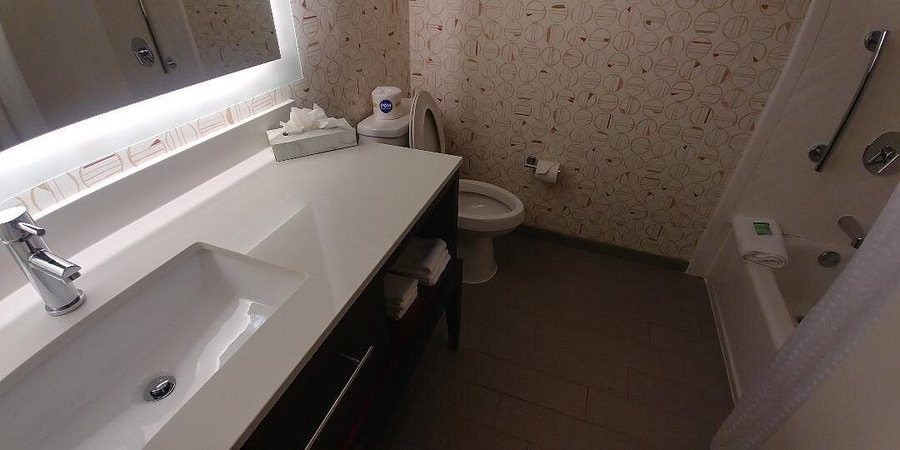Holiday Inn Roswell By IHG — Bathroom