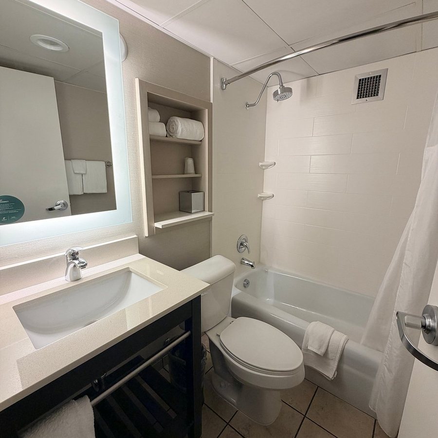 Holiday Inn Sioux Falls City Centre by IHG — Bathroom