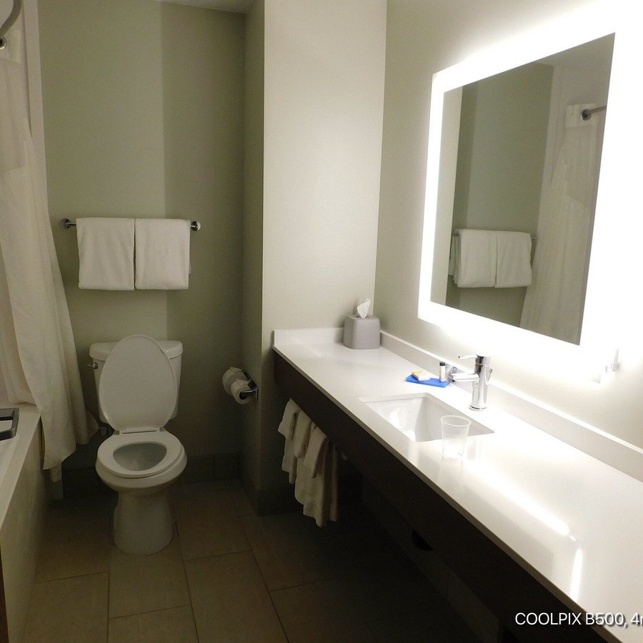 Holiday Inn St George Conv Ctr By IHG — Bathroom