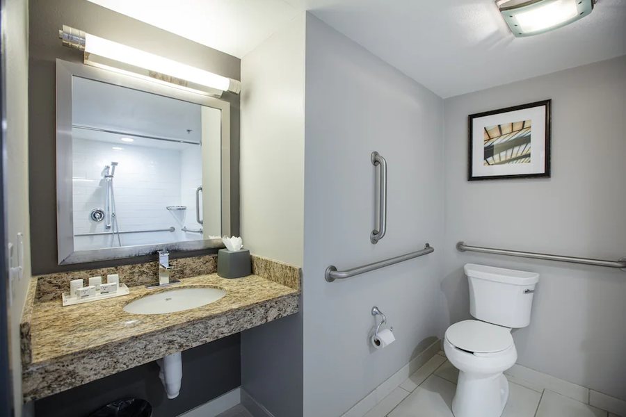 Holiday Inn St Louis Downtown Conv Ctr By IHG — Bathroom