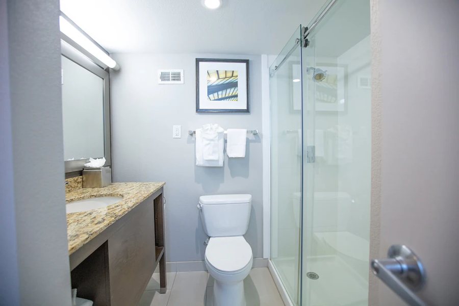 Holiday Inn St Louis Sw Route 66 By IHG — Bathroom