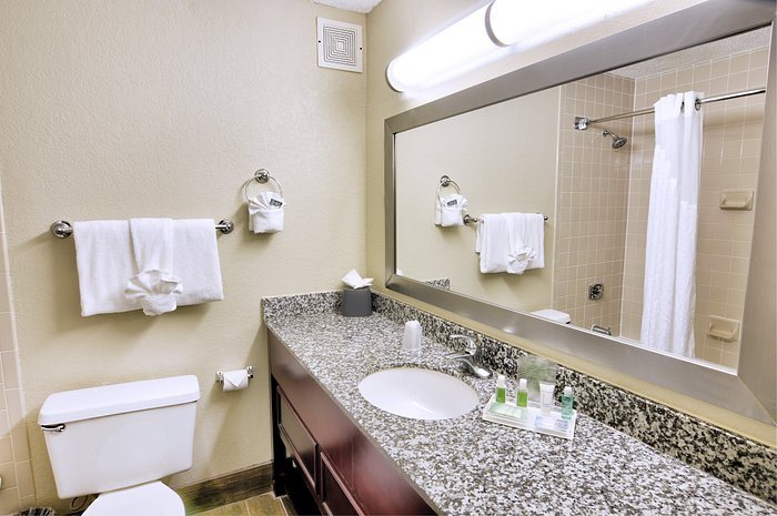 Holiday Inn St Petersburg N Clearwater By IHG — Bathroom