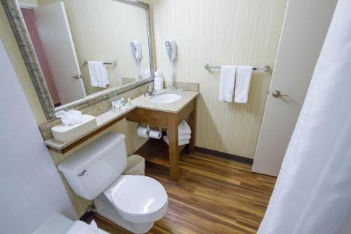 Holiday Inn Suites Bloomington airport By IHG — Bathroom
