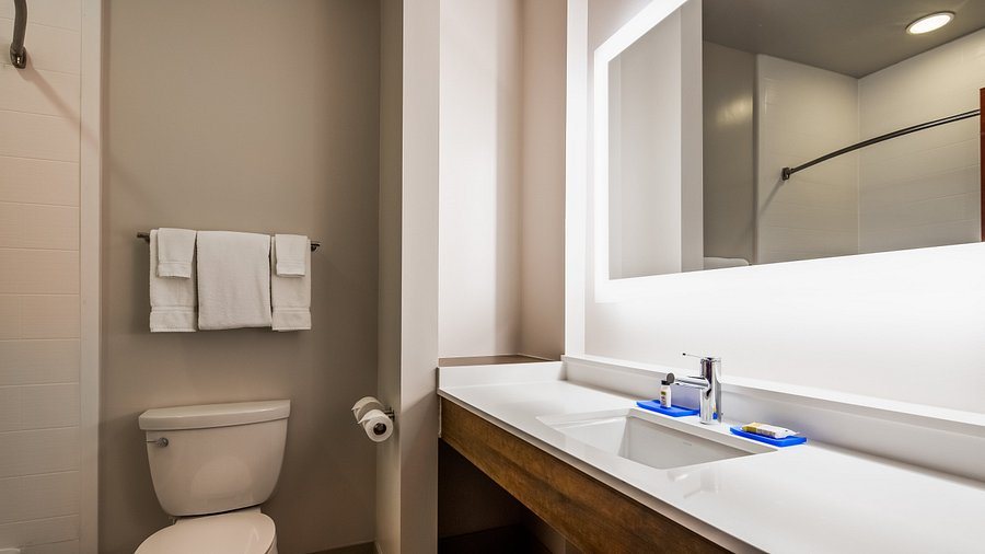 Holiday Inn Suites Farmington Hills Detroit Nw By IHG — Bathroom