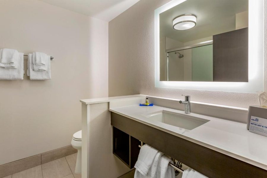 Holiday Inn Suites Goodyear West Phoenix Area By IHG — Bathroom