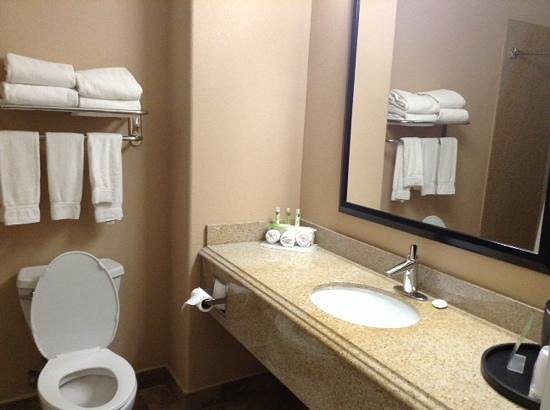 Holiday Inn Suites Houston West Katy Mills By IHG — Bathroom