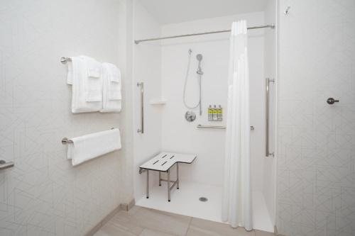Holiday Inn Suites Idaho Falls by IHG — Bathroom