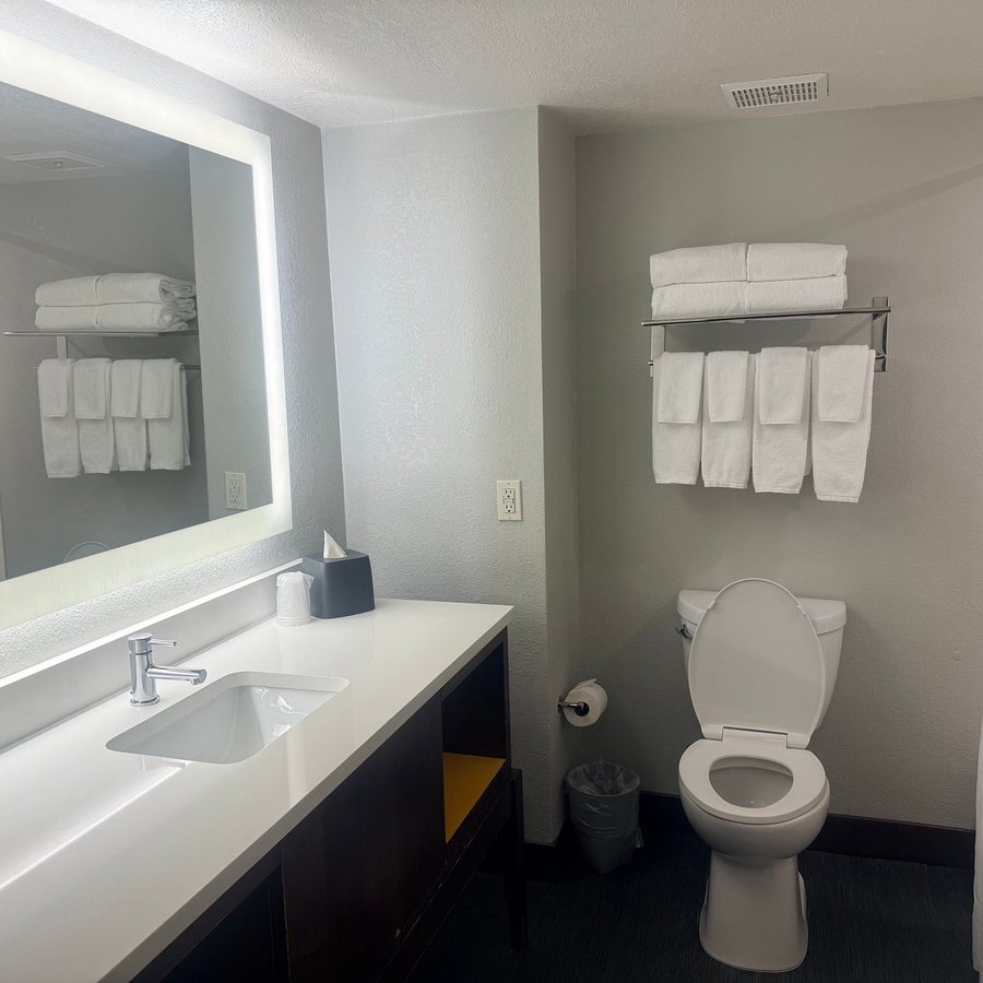 Holiday Inn Suites Orlando SW Celebration Area by IHG — Bathroom