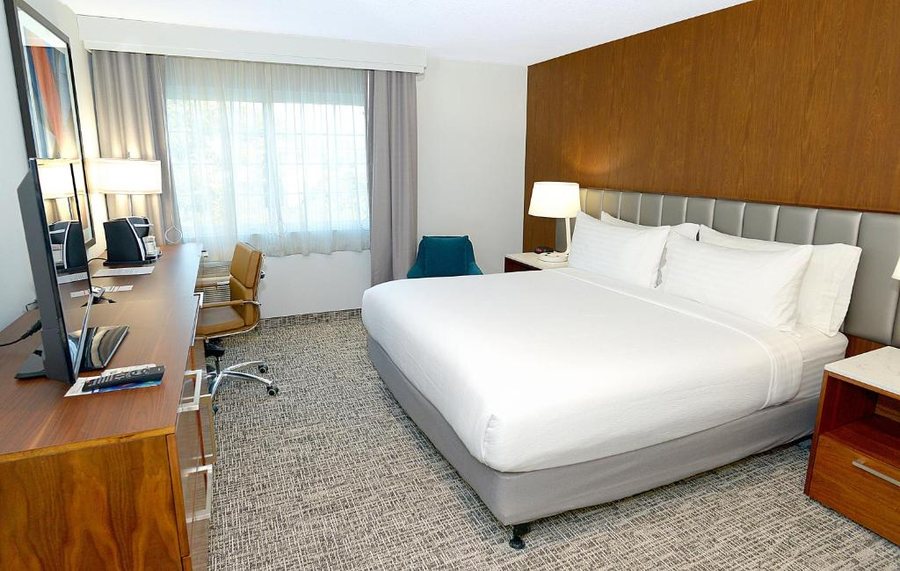 Holiday Inn Suites San Mateo san Francisco Sfo By IHG — Guest room